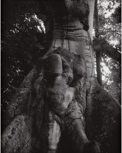 Agata Grzybowska, "Gran Bwa - Ojciec Lasu", z cyklu "Niewidoczne, Jacmel, Haiti", 2020/2025 - pic 1