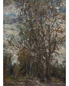 Włodzimierz Zakrzewski, "Młociny. Drzewa", 1972 - pic 1
