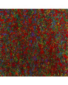 Leon Tarasewicz, Bez tytułu, 2020 - pic 1