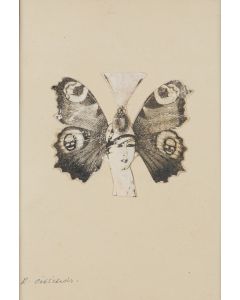 Roman Cieślewicz, Kobieta-motyl, projekt ilustracji, 2 poł. XX w. - pic 1