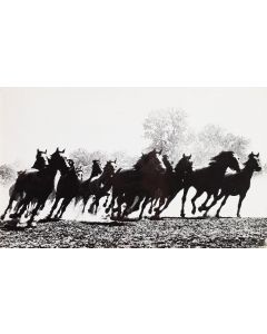 Marian Gadzalski, "Konie", 1970 - pic 1