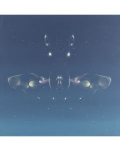 Paulina Rega, "Cygnus 2", 2022 - pic 1