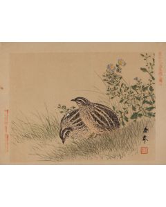 Imao Keinen, Przepiórki z albumu "Keinen Kachō Gafu", 1892 - pic 1