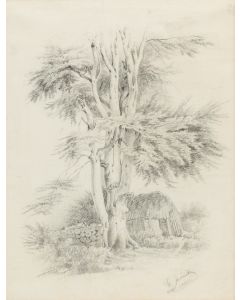 Ignacy Jasiński, Pejzaż z drzewem, 1851 - pic 1