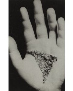 Teresa Murak, "Ziarno", 1973 - pic 1