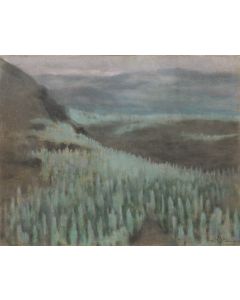 Kazimierz Stabrowski, Widok na Pico del Teide na Teneryfie, 1913 - pic 1