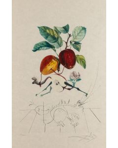 Salvador Dalí, "Smocze jabłko (Pomme dragon)" z cyklu "Flordali - Les Fruits" , 1969 - pic 1