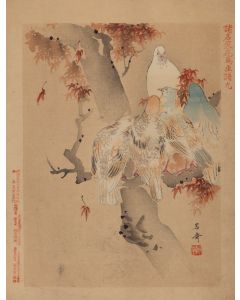 Keibun Matsumura, Gołębie i klon z albumu "Sho Meika Kachō Gafu", 1898 - pic 1