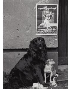 Irena Komar, "Podwórkowa przyjaźń", 1974/2025 - pic 1