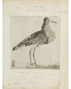 Joseph Hecht, Bekas - pic 1