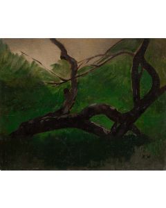 Marian Wawrzeniecki, Drzewo, 1896 - pic 1