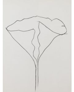 Ellsworth Kelly, "Lotus", 1972 - pic 1
