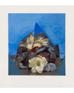 Miguel Angel Arguello, "Kwiat w niebieskim trójkącie", 1990 - pic 1