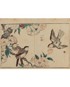 Kitao Shigemasa, Gile z cyklu "Kachō shashin zui", 1819 - pic 1