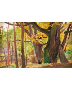 Michał Gorstkin Wywiórski, Las w słońcu ("Im Grünewald"), 1906-1914 - pic 1