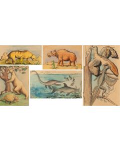 Kazimierz Mikulski, Bestiarium - zestaw 5 ilustracji do czasopisma "Przekrój", 1953 - pic 1