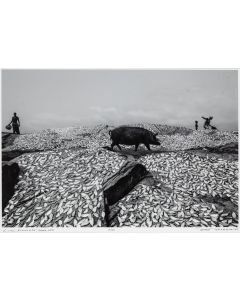 Tomasz Tomaszewski, Z cyklu "Elmina #03", 2015/2005 - pic 1