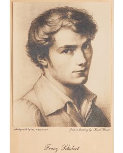 Portret Franza Schuberta - pic 1