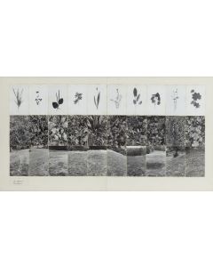 Maria Michałowska, "Łąka", 1975 - pic 1