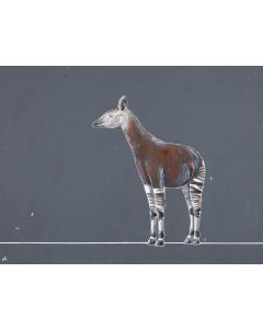 Aleksandra Lacheta, "Okapi", 2024 - pic 1