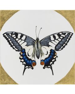 Karolina Marcol, "Paź królowej" z cyklu "Butterfly by Caro", 2020 - pic 1