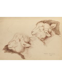 Jadwiga Trzcińska, Studium owcy, 1955 - pic 1