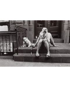 Elliott Erwitt, New York City, 2000/2023 - pic 1