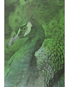 Kamil Kmiecik, Olympeacock IV, 2016 - pic 1