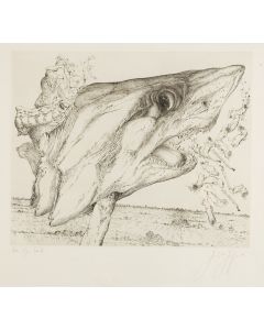 Günter Grass, "Hai uber Land" (Shark over land), 1973 - pic 1