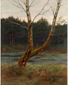Józef Rapacki, Drzewo nad leśnym jeziorem, 1912 - pic 1