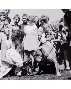 Zbigniew Kosycarz, Wystawa psów rasowych na Hipodromie w Sopocie, 1966/2024 - pic 1