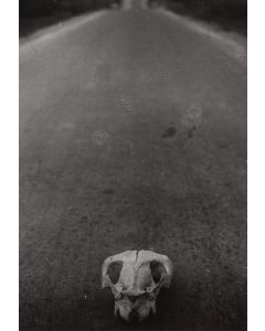 Jerzy Lewczyński, "Koniec drogi", 1959 - pic 1